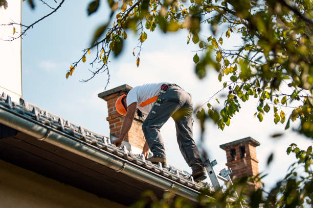 Fast & Reliable Emergency Roof Repairs in Massanetta Springs, VA