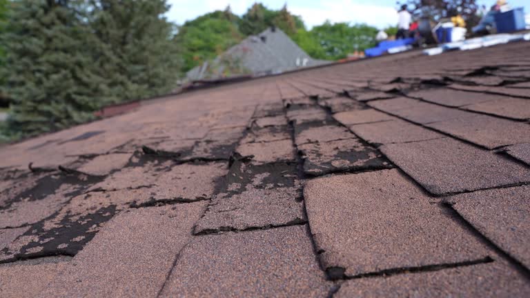 Best Wood Shake Roofing  in Massanetta Springs, VA