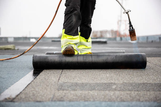 Best Roof Maintenance and Cleaning  in Massanetta Springs, VA